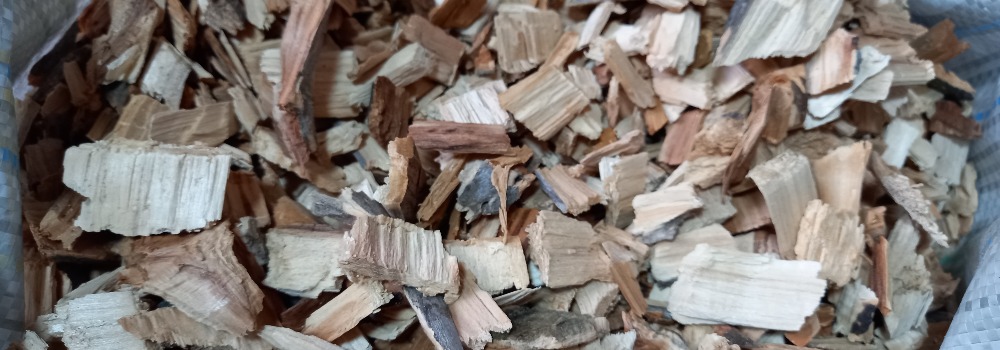 tshepa-dlya-koptcheniya-yablonya