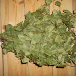 купить веники для бани